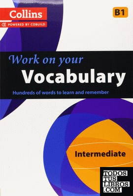 WORK ON YOUR VOCABULARY B1
