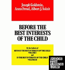 Before The Best Interests Of The Child