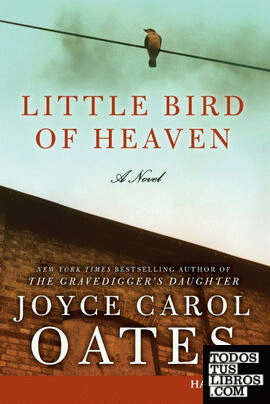 Little Bird of Heaven LP