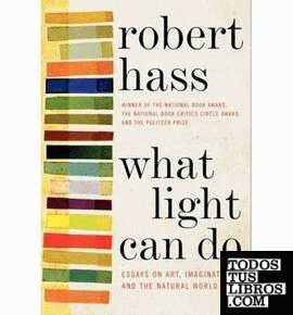 What Light Can Do: Essays on Art, Imagination and the Natural World