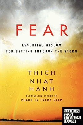 Fear: essential wisdom for getting through the storm