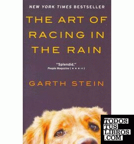 ART OF RACING IN THE RAIN INTL, THE