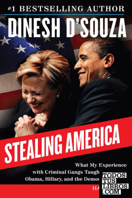Stealing America LP
