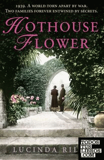 HOTHOUSE FLOWER