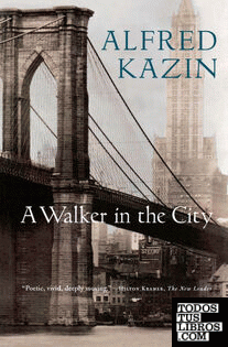 A Walker in the City (Harvest Book)
