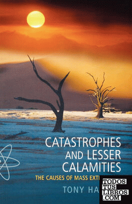 CATASTROPHES AND LESSER CALAMITIES
