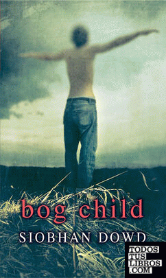 Rollercoasters: Bog Child: Siobhan Dowd
