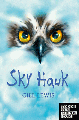 Rollercoasters: Sky Hawk: Gill Lewis