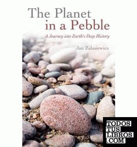 THE PLANET IN A PEBBLE