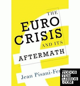 THE EURO CRISIS AND ITS AFTERMATH