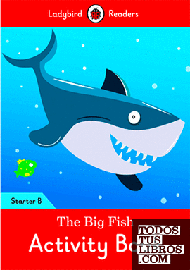 THE BIG FISH ACTIVITY BOOK (LB)