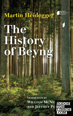 History of Beyng