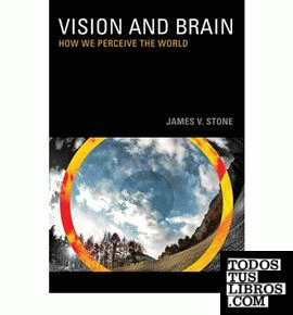 Vision and brain. How we perceive the world.