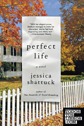 Perfect Life & 8211; A Novel