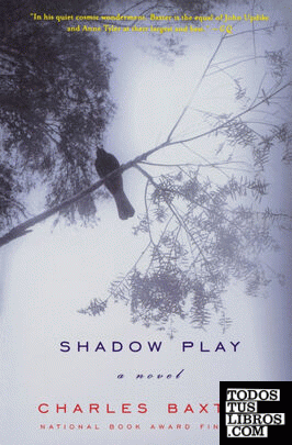 Shadow Play & 8211; A Novel