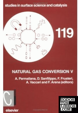 NATURAL GAS CONVERSION V