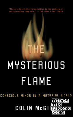 The Mysterious Flame