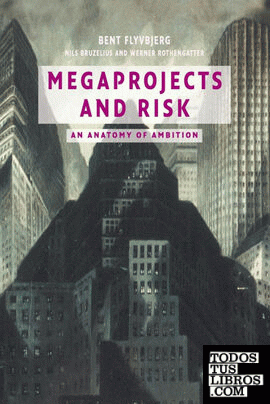 Megaprojects and Risk