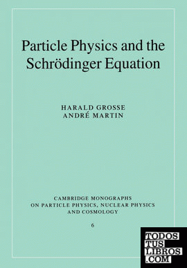 Particle Physics and the Schr Dinger Equation