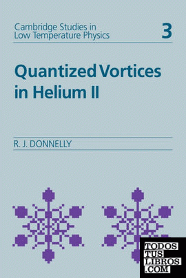 Quantized Vortices in Helium II