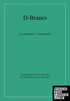 D-Branes