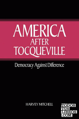 America After Tocqueville