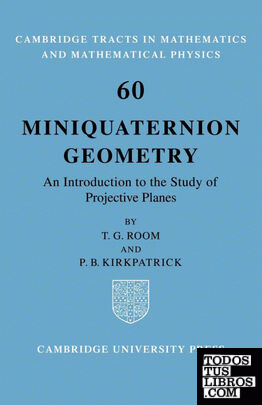 Miniquaternion Geometry