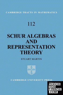 Schur Algebras and Representation Theory