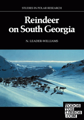Reindeer on South Georgia
