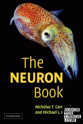 The Neuron Book
