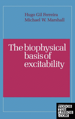 The Biophysical Basis of Excitability