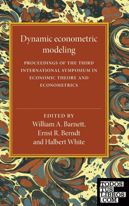 Dynamic Econometric Modeling