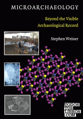 MICROARCHAEOLOGY BEYOND THE VISIBLE ARCHAEOLOGICAL RECORD