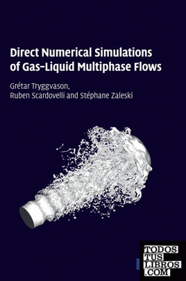 Direct Numerical Simulations of Gas-Liquid Multiphase             Flows