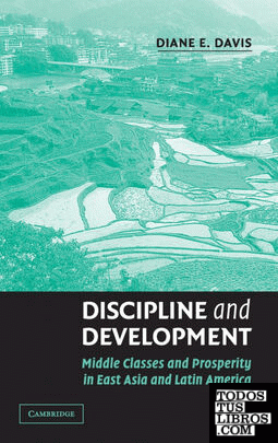 Discipline and Development