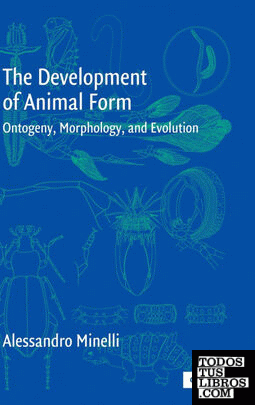 The Development of Animal Form