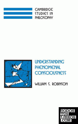 Understanding Phenomenal Consciousness
