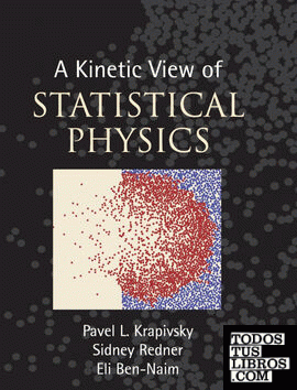 A Kinetic View of Statistical Physics