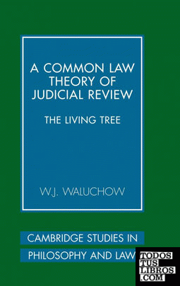 A Common Law Theory of Judicial Review