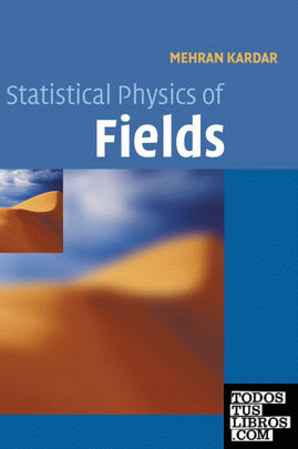 Statistical Physics of Fields