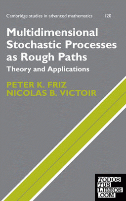 Multidimensional Stochastic Processes as Rough Paths