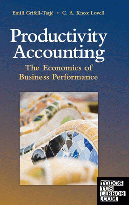 Productivity Accounting