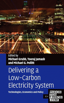 Delivering a Low-Carbon Electricity System