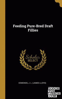Feeding Pure-Bred Draft Fillies