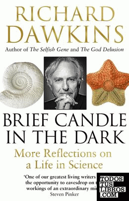A BRIEF CANDLE IN THE DARK
