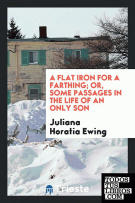 A flat iron for a farthing; or, Some passages in the life of an only son