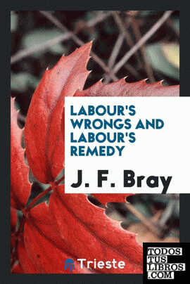 Labour's Wrongs and Labour's Remedy