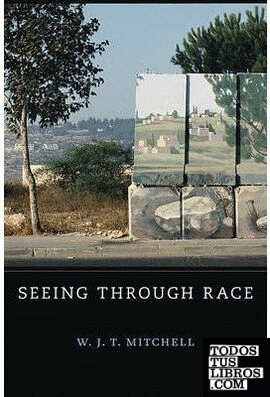 Seeing through Race