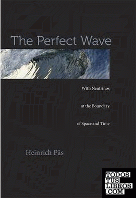 The Perfect Wave: with Neutrinos at the Boundary of Space and Time
