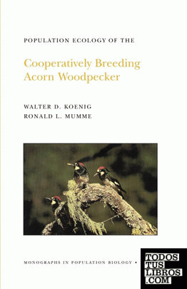 Population Ecology of the Cooperatively Breeding Acorn Woodpecker. (MPB-24), Volume 24